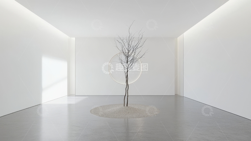 高清大图下载【趣麦麦图】室内空间中的枯树与圆形装饰