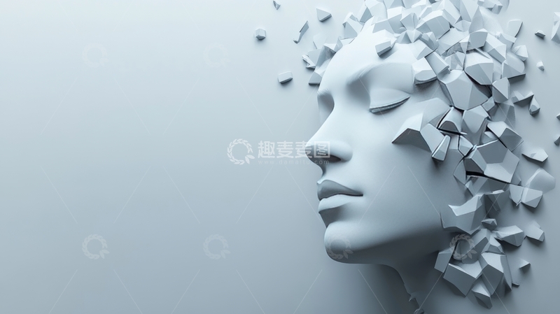 高清大图下载【趣麦麦图】破碎几何人脸艺术