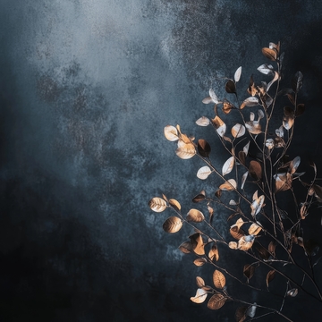 深色背景上的枯叶枝条