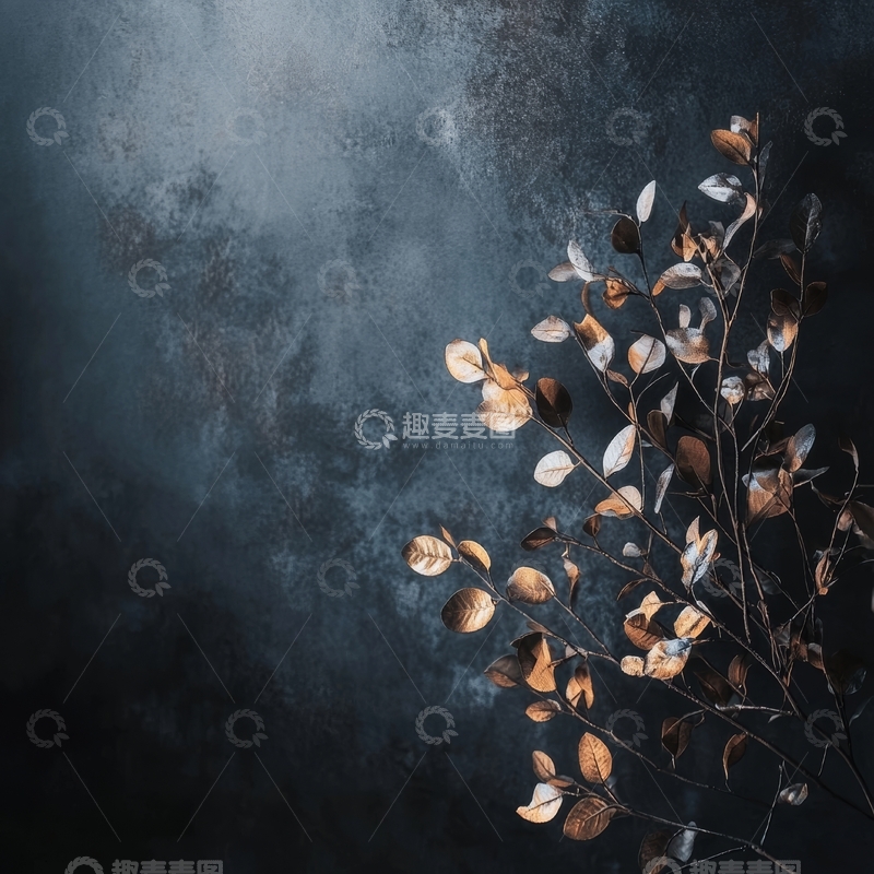 高清大图下载【趣麦麦图】深色背景上的枯叶枝条