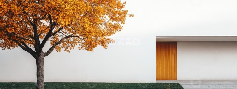 高清大图下载【趣麦麦图】秋叶树旁的现代建筑