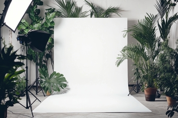 室内植物环绕的摄影棚背景