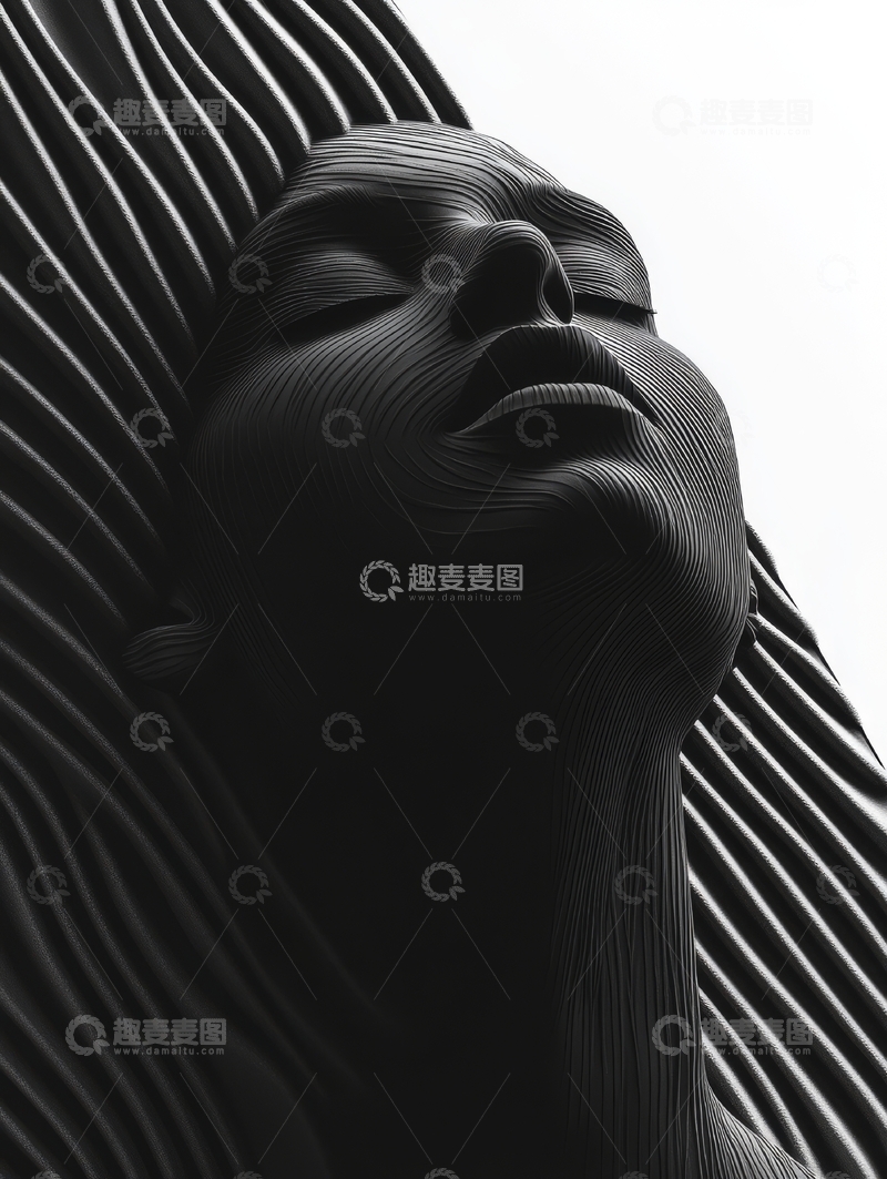 高清大图下载【趣麦麦图】线条艺术雕塑的女性面部特写
