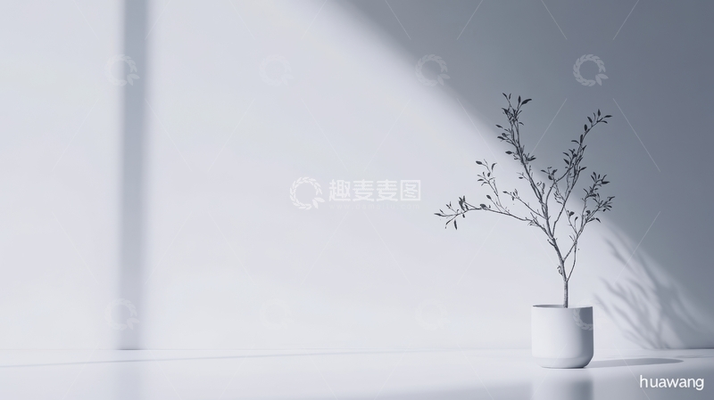 高清大图下载【趣麦麦图】简约室内一角，枝叶点缀白色花瓶