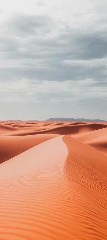 广袤沙漠中的细腻沙丘