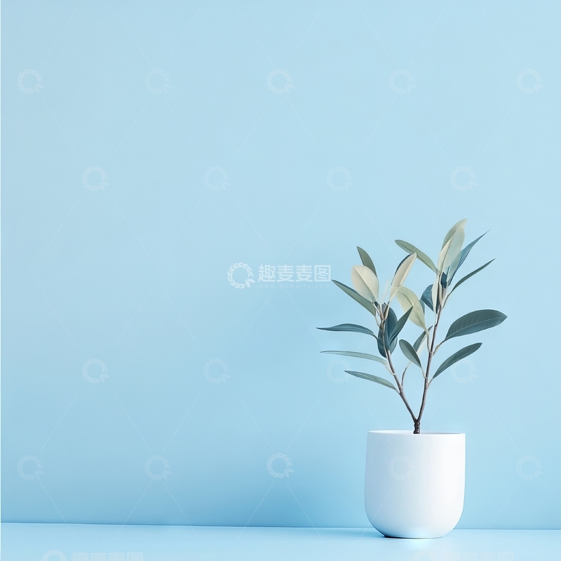 高清大图下载【趣麦麦图】蓝背景上的白色花瓶绿植