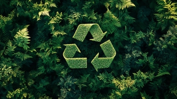 绿色植物中的循环回收标志