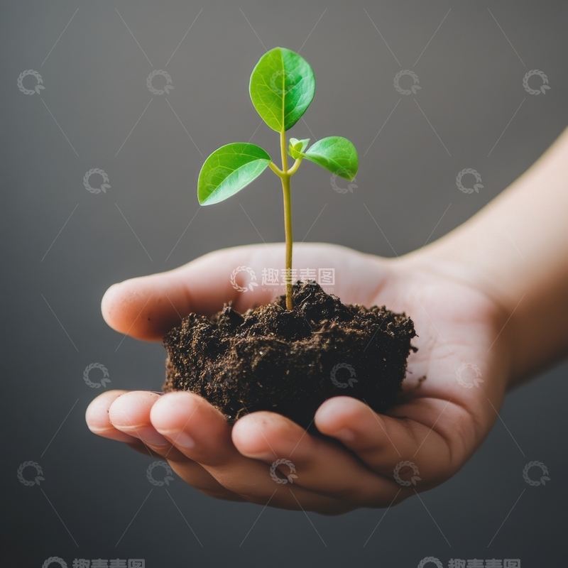 高清大图下载【趣麦麦图】手中捧着带土壤的小绿植