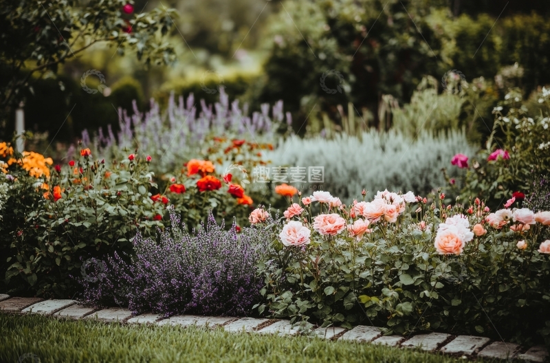 高清大图下载【趣麦麦图】色彩斑斓的花园花坛
