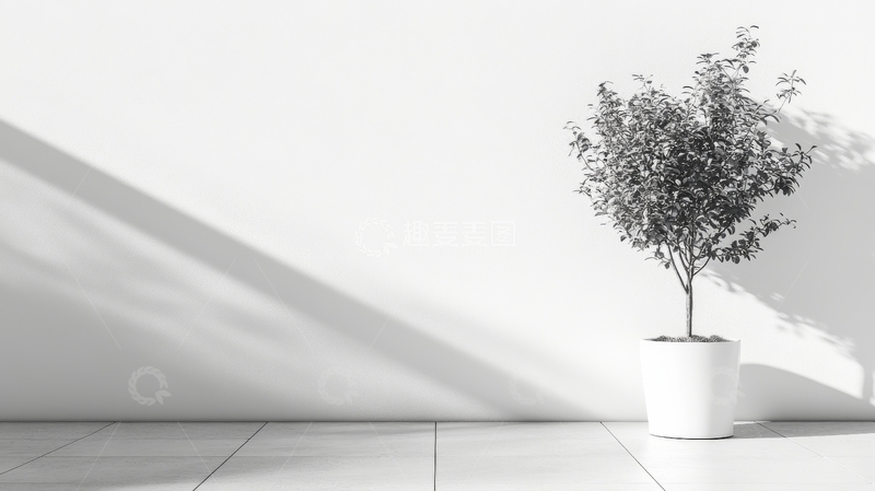 高清大图下载【趣麦麦图】室内白墙旁的盆栽植物
