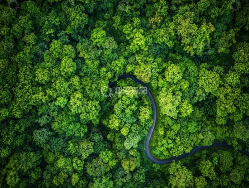 高清大图下载【趣麦麦图】蜿蜒森林小径俯瞰图