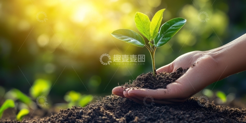 高清大图下载【趣麦麦图】双手捧土培育幼苗