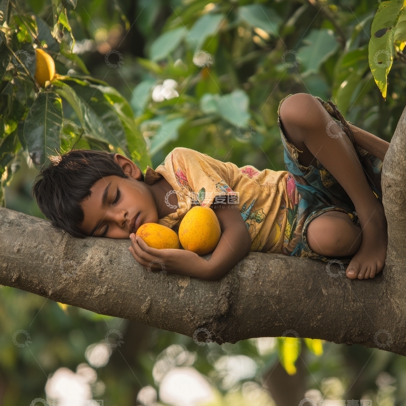 树上熟睡的孩子与芒果