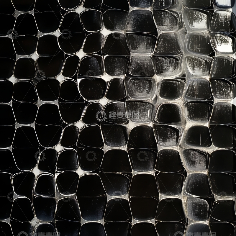 黑色光泽鳞片纹理特写