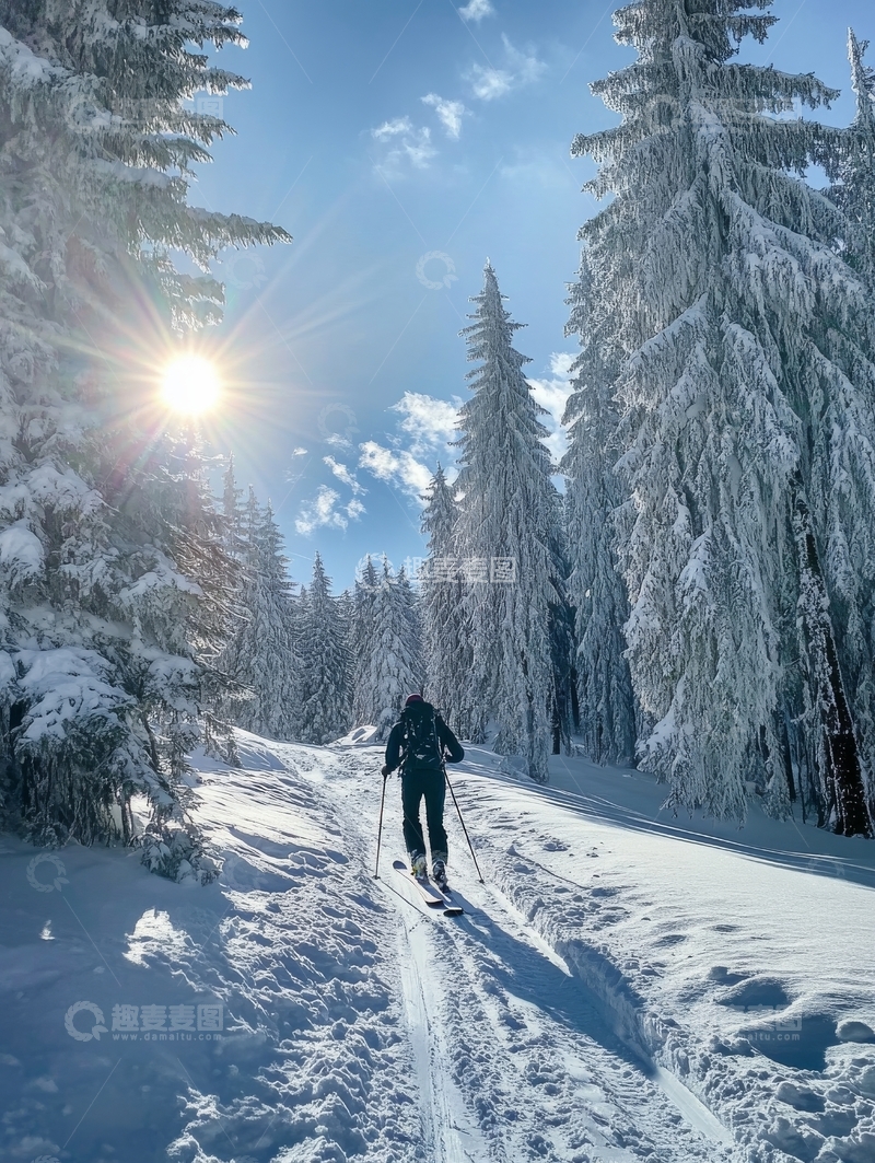 高清大图下载【趣麦麦图】冬日雪林中滑雪者前行