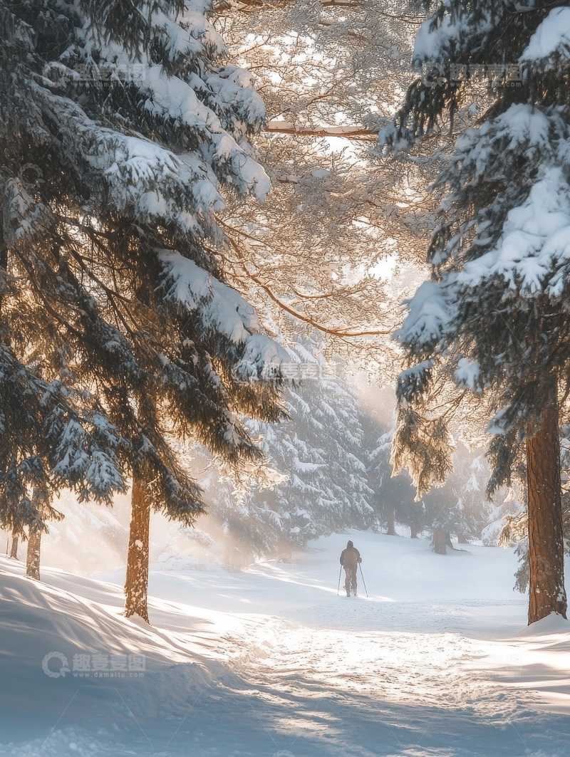 高清大图下载【趣麦麦图】雪林小径，冬日漫步