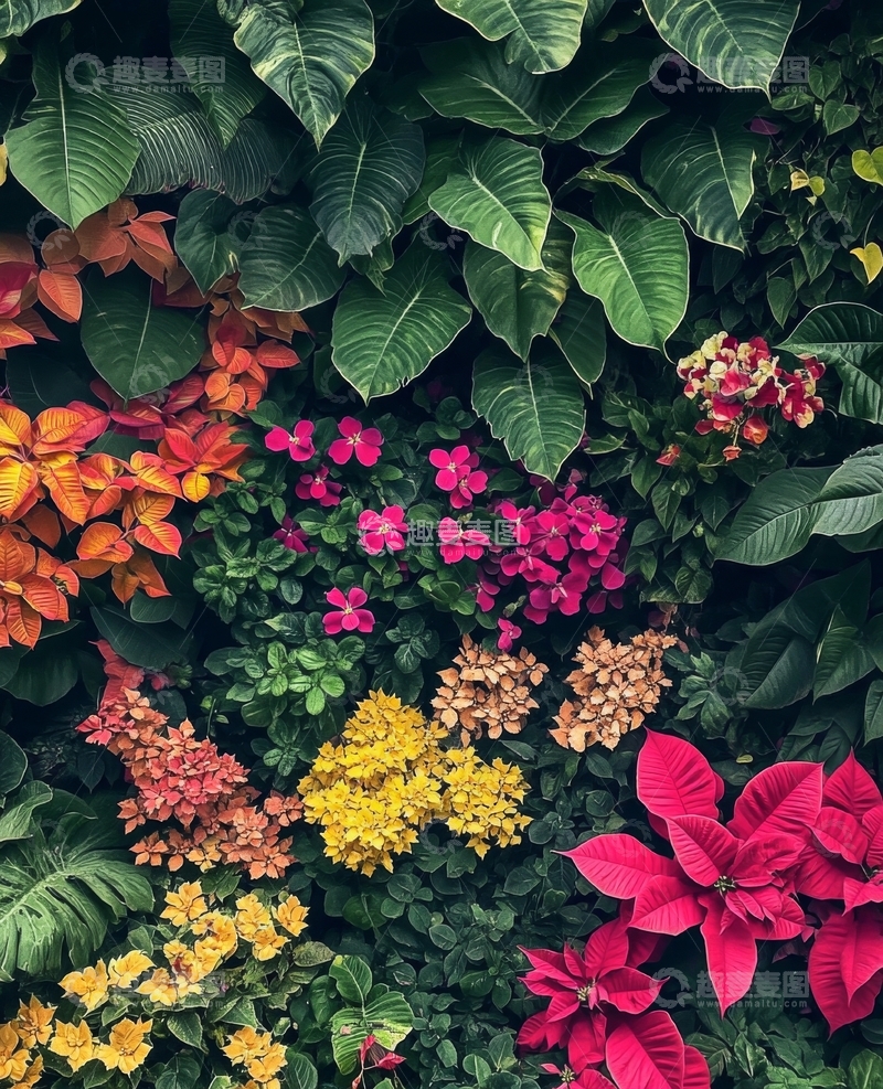 高清大图下载【趣麦麦图】多彩植物墙，绿叶与鲜花交织