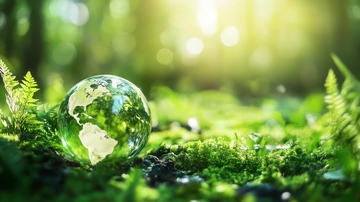 森林中的地球玻璃球