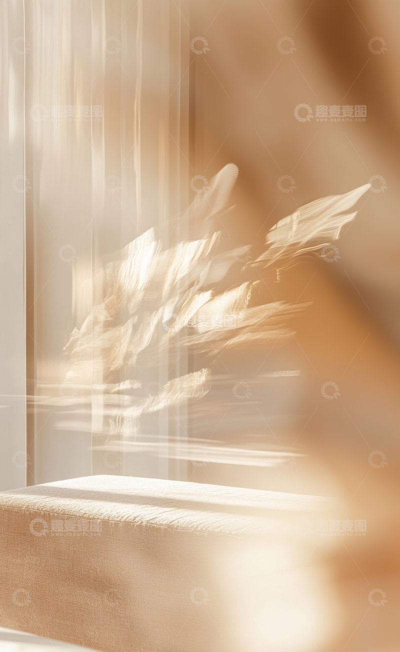 高清大图下载【趣麦麦图】光影交错的室内植物特写