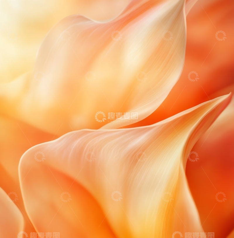 高清大图下载【趣麦麦图】-柔美橙色花瓣的抽象艺术