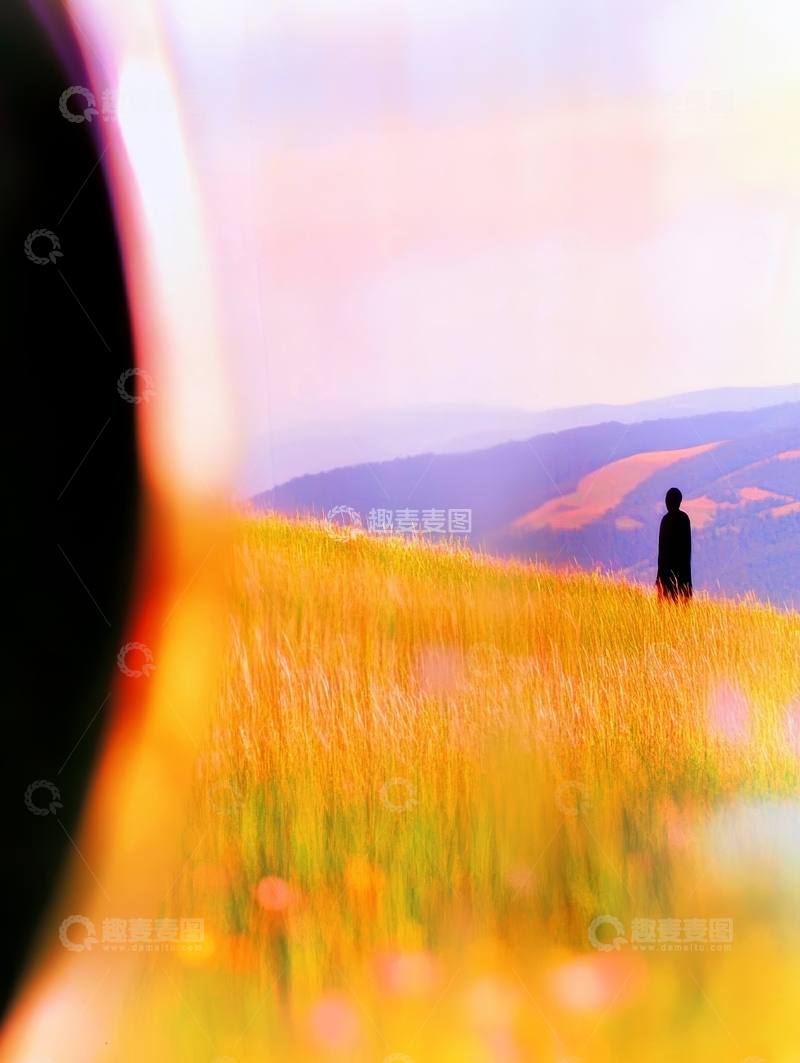 高清大图下载【趣麦麦图】孤影立于金黄草坡之上