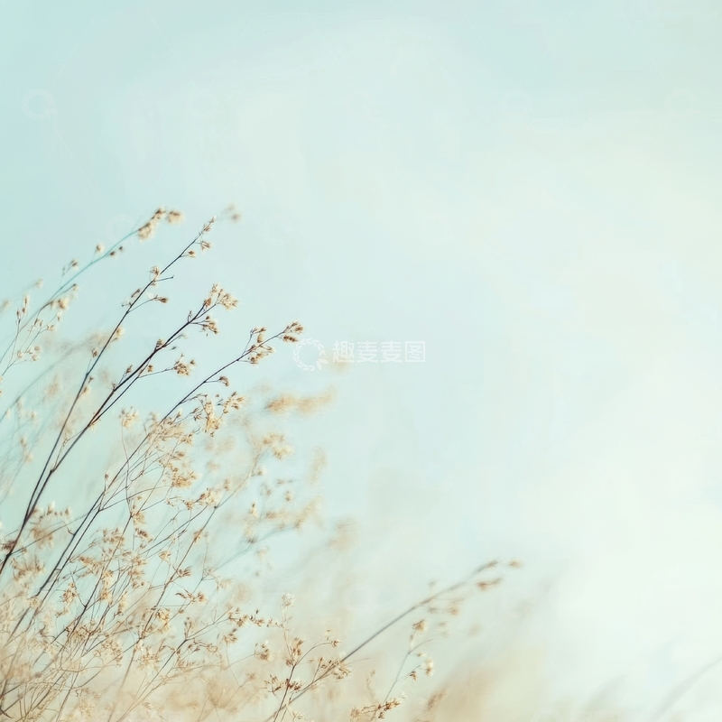 高清大图下载【趣麦麦图】微风轻拂的干草与淡蓝天空