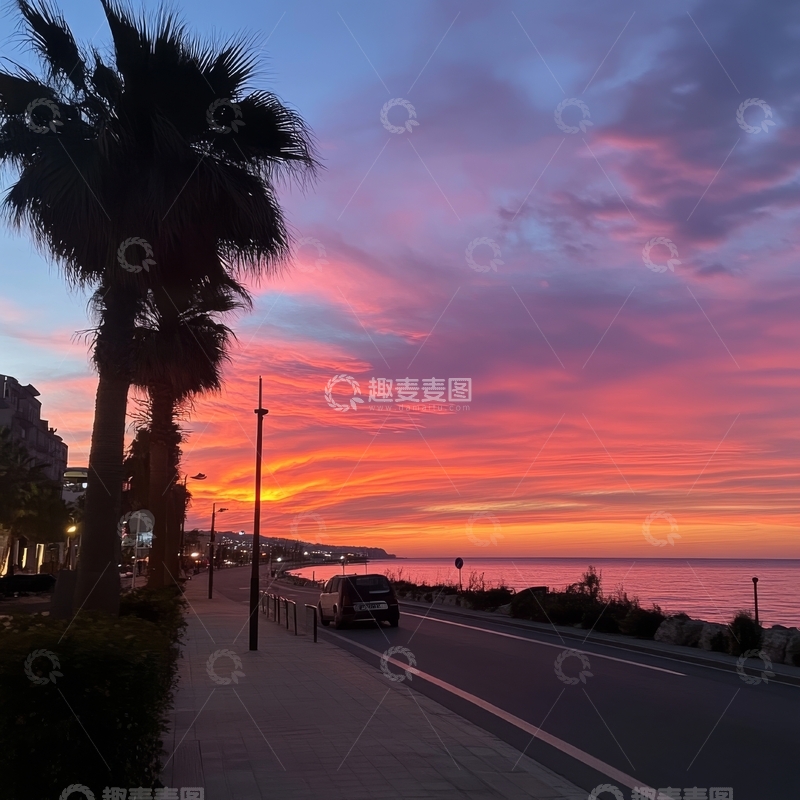 高清大图下载【趣麦麦图】海滨日落，棕榈树与绚丽天空