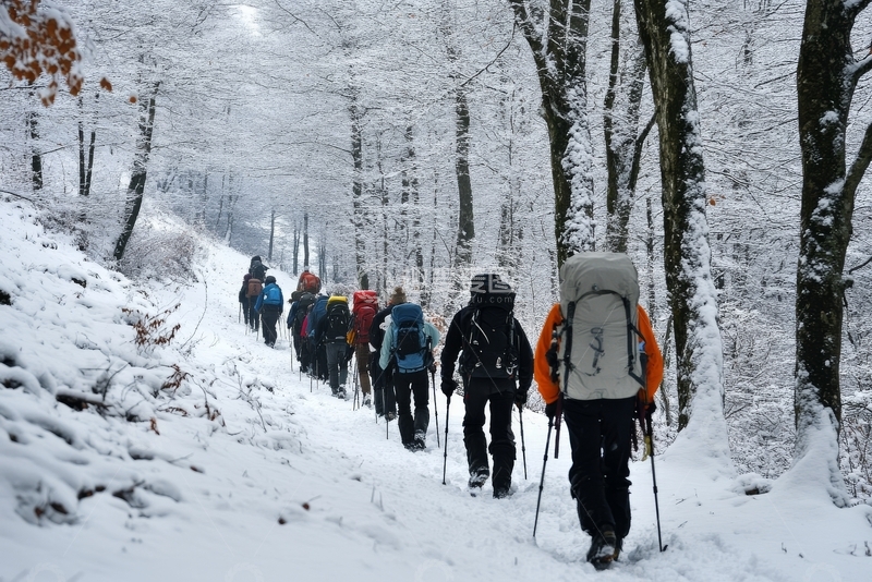 高清大图下载【趣麦麦图】雪林中行进的徒步队伍