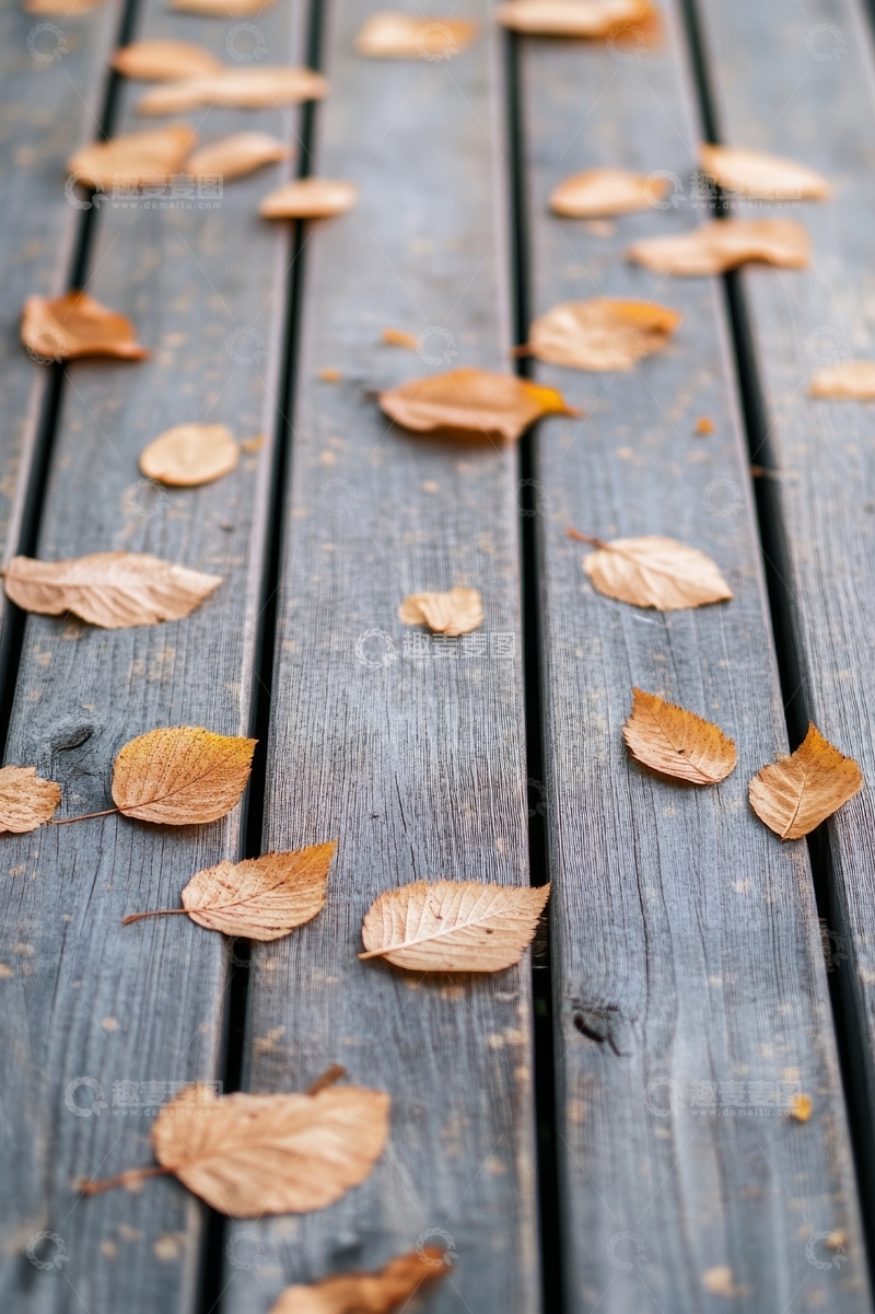 高清大图下载【趣麦麦图】秋叶散落的木质地板