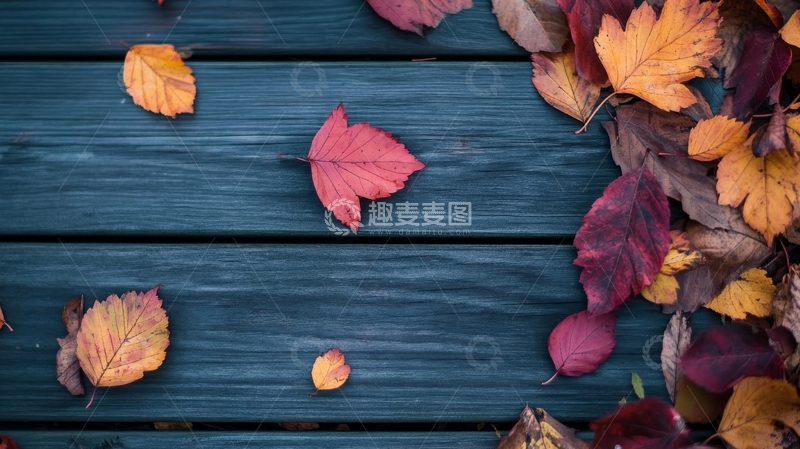 高清大图下载【趣麦麦图】秋叶散落于深蓝木板之上