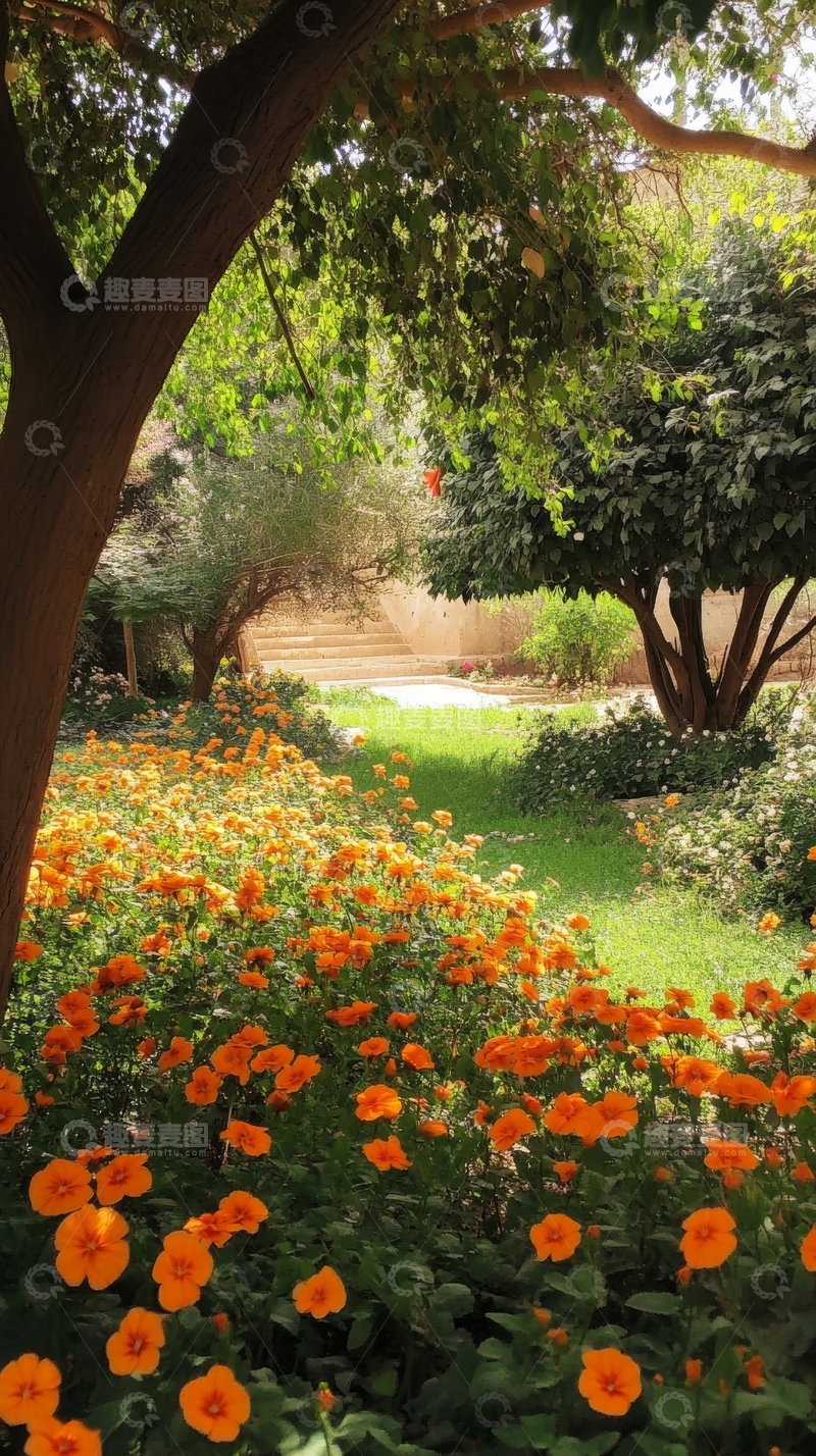 高清大图下载【趣麦麦图】花园中的橙色花朵与绿树