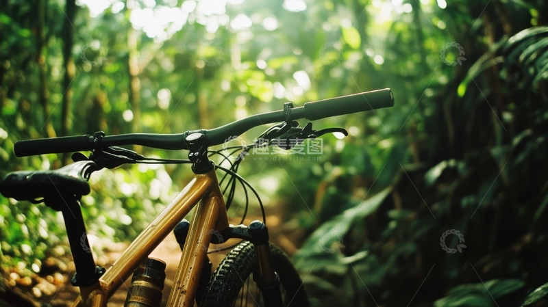 高清大图下载【趣麦麦图】山地自行车停在茂密森林中