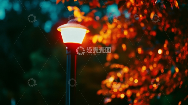 高清大图下载【趣麦麦图】夜色中的温暖路灯与秋叶