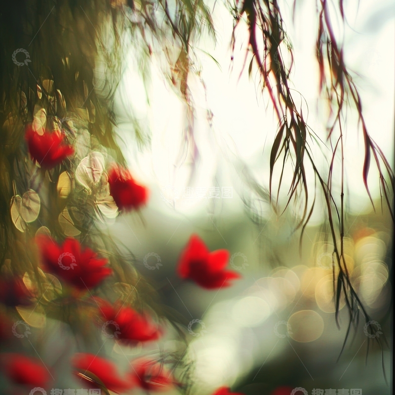 高清大图下载【趣麦麦图】红花绿叶，光影交织的自然美景