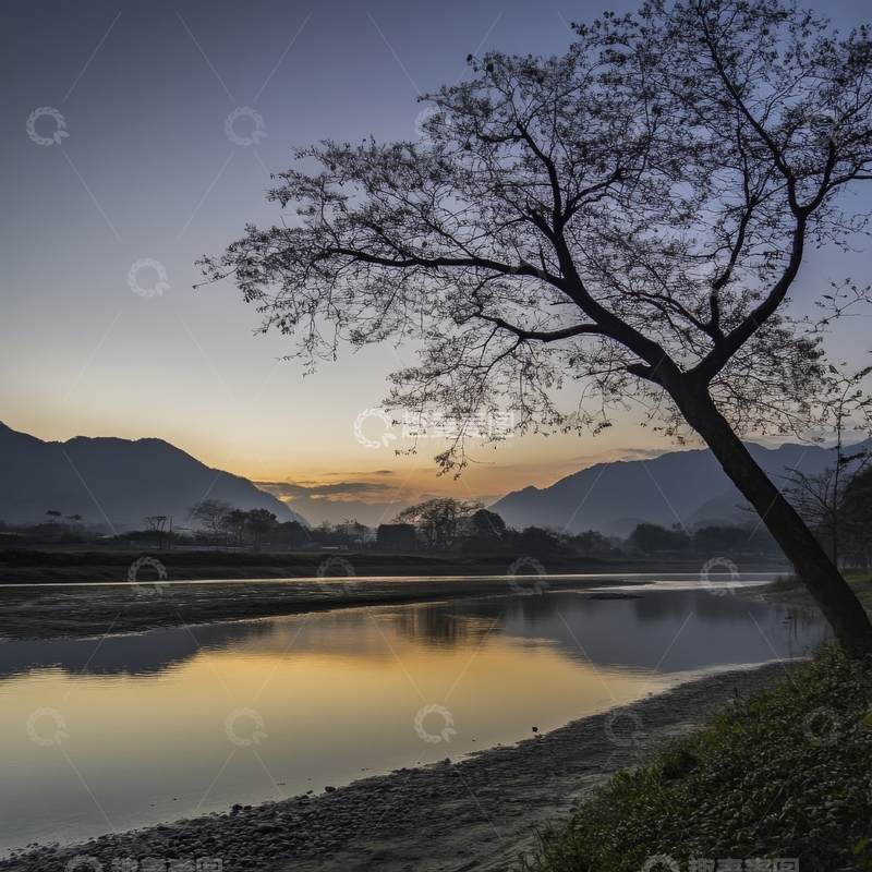 高清大图下载【趣麦麦图】晨曦河畔，孤树剪影