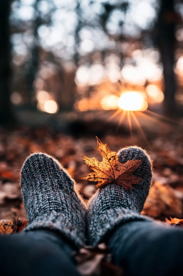 秋日林中，袜子与落叶的静谧时光