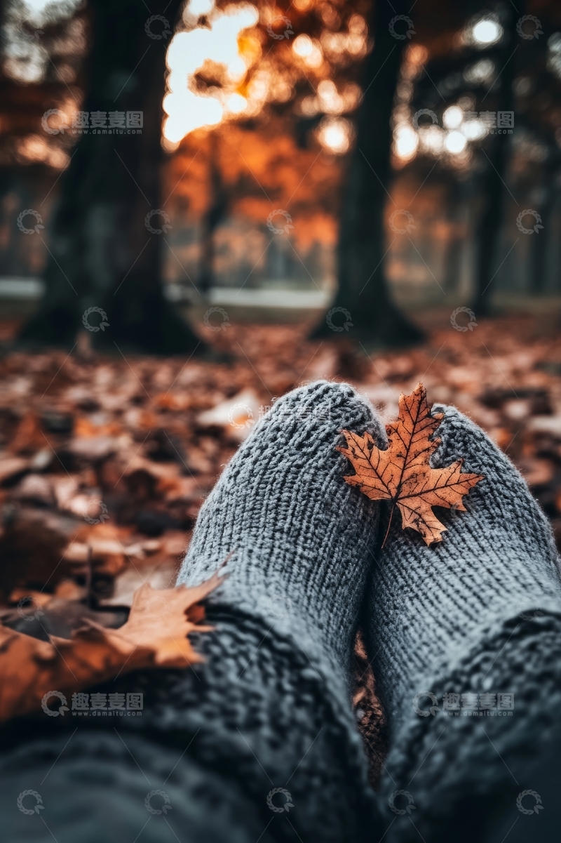 高清大图下载【趣麦麦图】秋日落叶中的温暖双脚