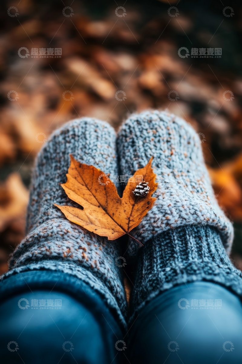 高清大图下载【趣麦麦图】秋叶点缀温暖毛线袜