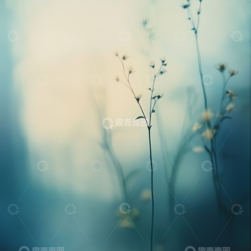 高清大图下载【趣麦麦图】朦胧背景中的细长植物
