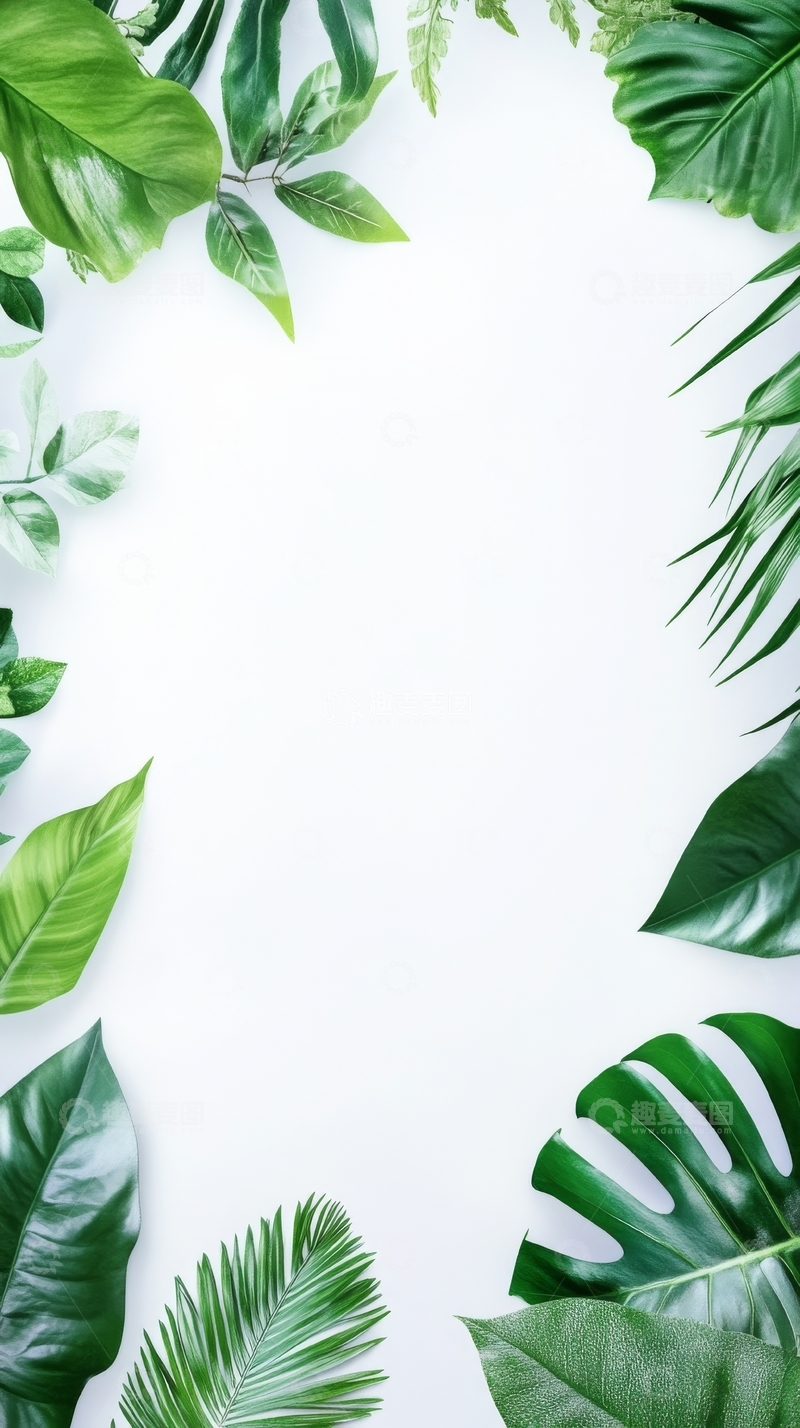 高清大图下载【趣麦麦图】绿叶边框装饰的简洁背景