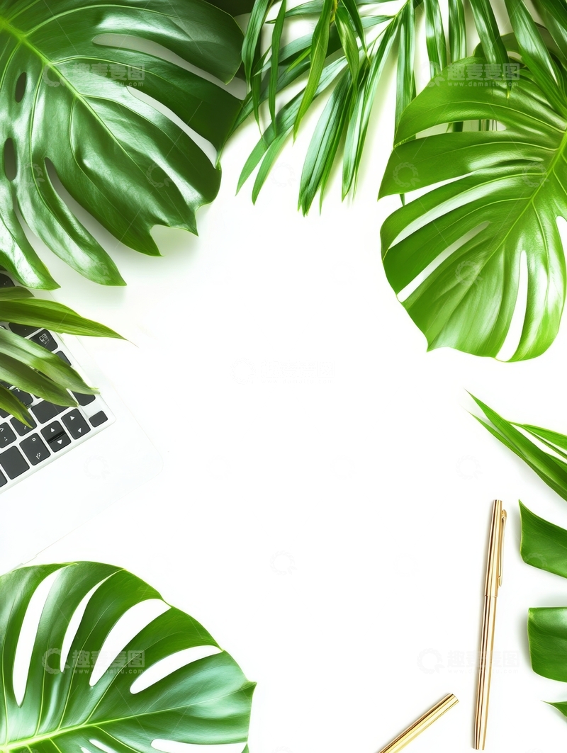 高清大图下载【趣麦麦图】绿叶环绕的简洁白色背景