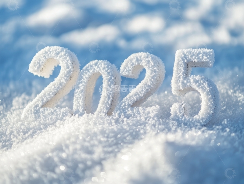 雪地中的2025数字