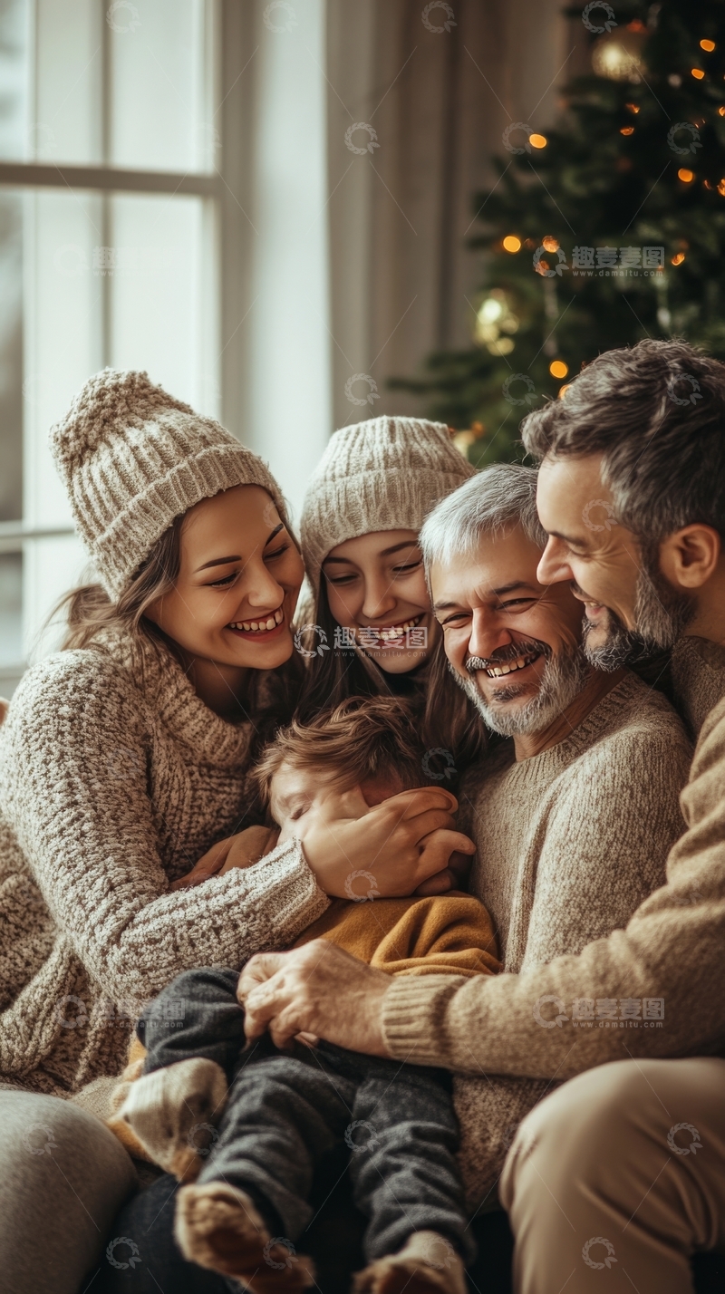 温馨家庭圣诞聚会