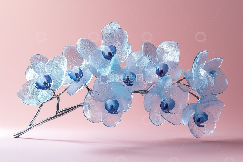 高清大图下载【趣麦麦图】透明蓝色花朵的艺术展示