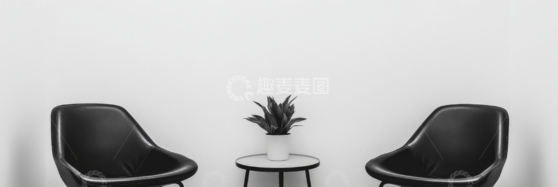 高清大图下载【趣麦麦图】简约室内设计：两椅一植