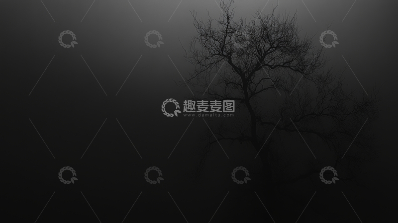 高清大图下载【趣麦麦图】雾中孤树剪影