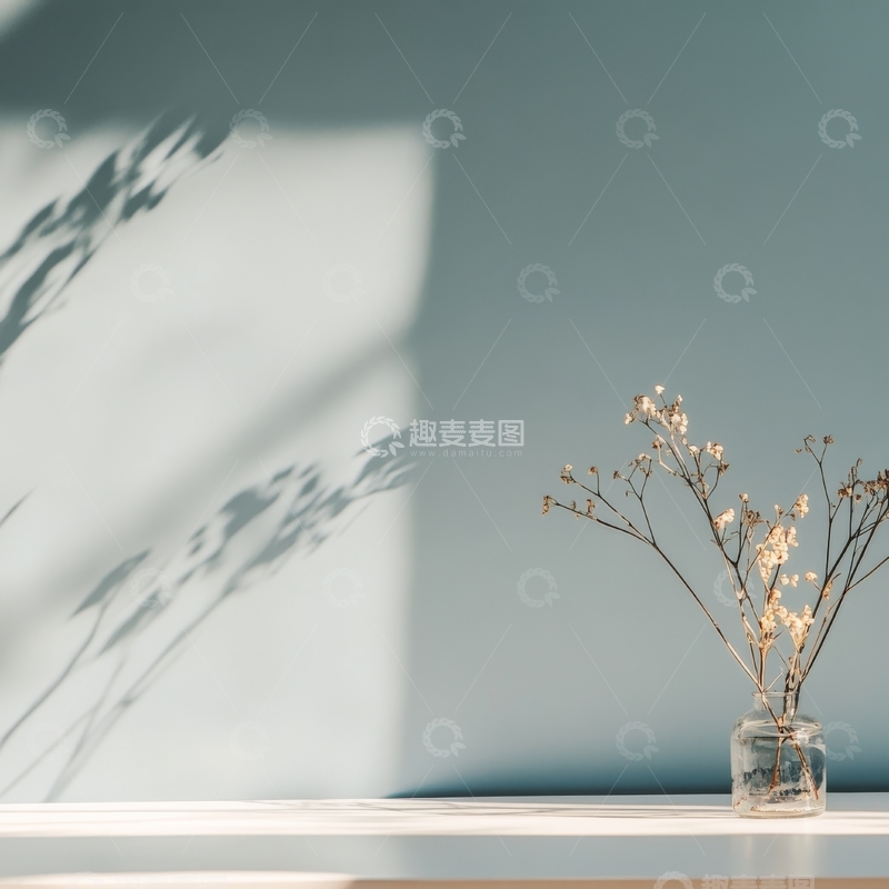 高清大图下载【趣麦麦图】窗边花瓶中的干枝与光影