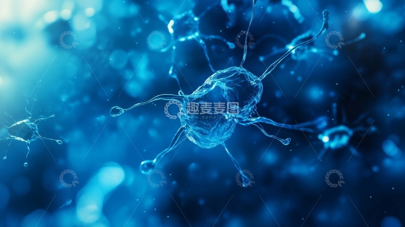 高清大图下载【趣麦麦图】蓝色背景下的神经元细胞