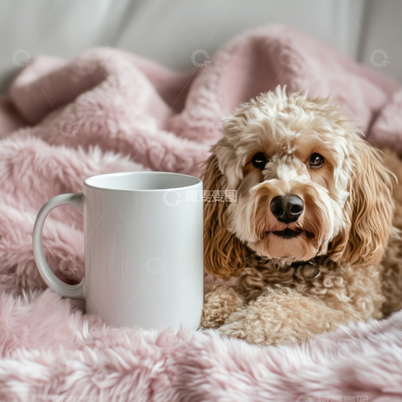 高清大图下载【趣麦麦图】毛绒毯上的小狗与白色杯子