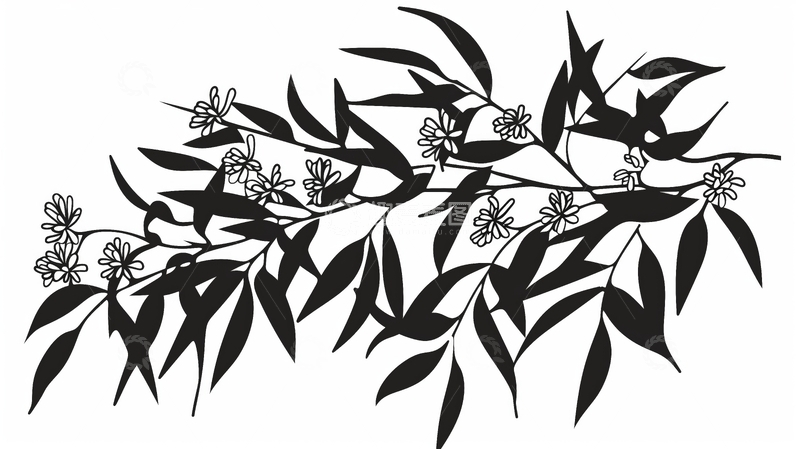 高清大图下载【趣麦麦图】黑白植物枝条剪影